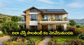 Dream Home: సొంతింటి కల నెరవేరాలంటే ఈ రెమెడీస్ పాటించాలట - అవేంటో తెలుసా..?