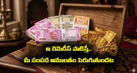 Remedies for Wealth: మీ సంపద పెరగాలంటే ఆ రెమెడీస్ పాటించాలట.