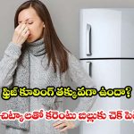 ఫ్రిజ్ కూలింగ్ పెరగడానికి, కరెంటు ఆదా చేయడానికి 5 సింపుల్ టిప్స్ తప్పకుండా ఫాలో అవ్వాలి !