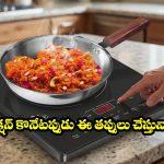 Induction Buying Tips: కొత్త ఇండక్షన్ కొంటున్నారా? ఈ 4 విషయాలు తెలియకపోతే మీ డబ్బు వృథా!
