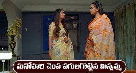 Today Horoscope in Telugu: రాశి ఫలితాలు మే 01: ఆ రాశి రియల్ ఎస్టేట్ వ్యాపారులకు లాభాలు - నిరుద్యోగులకు ఉద్యోగ ప్రాప్తి