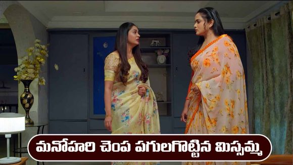 Nindu Noorella Saavasam Serial Today Episode May 1st ‘నిండు నూరేళ్ల సావాసం’ సీరియల్‌ : మనోహరిని కొట్టిన మిస్సమ్మ   
