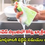 కిచెన్ స్పాంజిలో కోట్ల బ్యాక్టీరియా.. మార్చడానికి సరైన సమయం ఇదే!