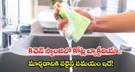 అరటి తొక్కలు చెత్తలో పడేస్తున్నారా? రుచికరమైన పచ్చడి ఇలా చేయండి.. పోషకాలు కూడా ఫుల్