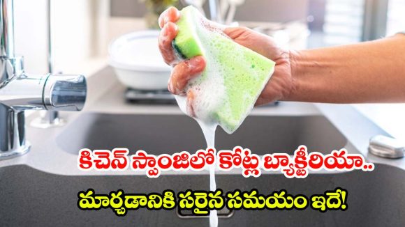 కిచెన్ స్పాంజిలో కోట్ల బ్యాక్టీరియా.. మార్చడానికి సరైన సమయం ఇదే!