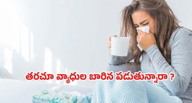 సీతమ్మ గెటప్ నుంచి ఐటమ్ బాంబుగా..  ఊర మాస్ డెసిషన్ తీసుకున్న బాలీవుడ్ బ్యూటీ