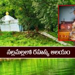 నల్లమల్లలో రహస్య ఆలయం – అమర్నాథ్ ను తలపించే ఆలయ విశేషాలు