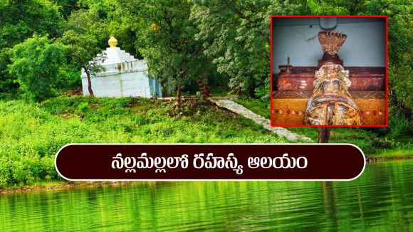 నల్లమల్లలో రహస్య ఆలయం – అమర్నాథ్ ను తలపించే ఆలయ విశేషాలు