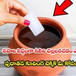 ఫ్రిజ్ అవసరమే లేదు.. ఈ ప్రాచీన పద్ధతితో ఆరోగ్యం, చల్లని నీరు మీ సొంతం!