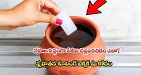 ఫ్రిజ్ అవసరమే లేదు.. ఈ ప్రాచీన పద్ధతితో ఆరోగ్యం, చల్లని నీరు మీ సొంతం!