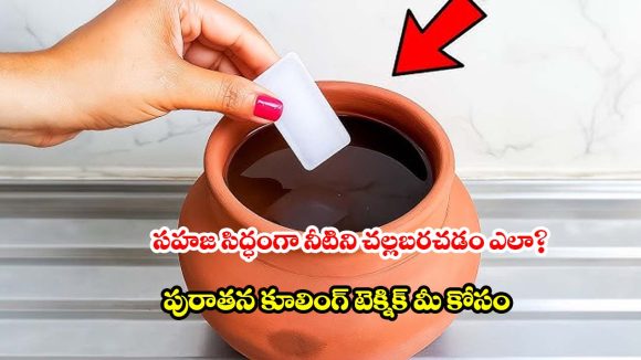 ఫ్రిజ్ అవసరమే లేదు.. ఈ ప్రాచీన పద్ధతితో ఆరోగ్యం, చల్లని నీరు మీ సొంతం!