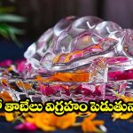 వాస్తు ప్రకారం ఇంట్లో తాబేలు.. అష్టైశ్వర్యాలు కలగాలంటే ఈ తప్పులు అస్సలు చేయకండి!