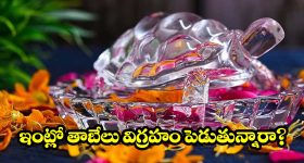 వాస్తు ప్రకారం ఇంట్లో తాబేలు.. అష్టైశ్వర్యాలు కలగాలంటే ఈ తప్పులు అస్సలు చేయకండి!