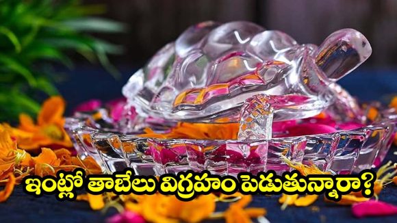 వాస్తు ప్రకారం ఇంట్లో తాబేలు.. అష్టైశ్వర్యాలు కలగాలంటే ఈ తప్పులు అస్సలు చేయకండి!