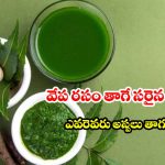 వేప ఆకుల జ్యూస్ తాగుతున్నారా? అయితే ఈ విషయాలు కచ్చితంగా తెలుసుకోవాలి!