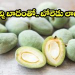 అరుదుగా దొరికే పచ్చి బాదం.. దీని వల్ల కలిగే ఆరోగ్య లాభాలు తెలిస్తే వదలరు!