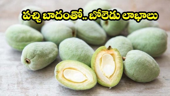 అరుదుగా దొరికే పచ్చి బాదం.. దీని వల్ల కలిగే ఆరోగ్య లాభాలు తెలిస్తే వదలరు!