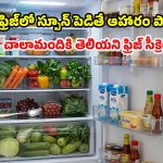ఫ్రిజ్‌లో స్పూన్ పెడితే.. ఆహారం ఎన్ని రోజులైనా పాడవ్వదు  తెలుసా ?