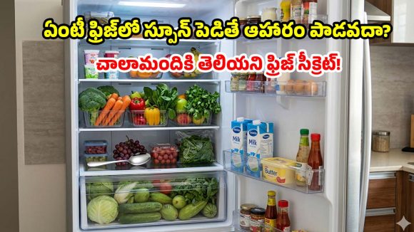 ఫ్రిజ్‌లో స్పూన్ పెడితే.. ఆహారం ఎన్ని రోజులైనా పాడవ్వదు  తెలుసా ?