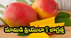 Curd Hair Mask: పెరుగుతో దృఢమైన మెరిసిపోయే జుట్టు.. ఖర్చులేకుండా స్పెషల్ హెయిర్ మాస్క్.. ఇలా అప్లై చేయండి