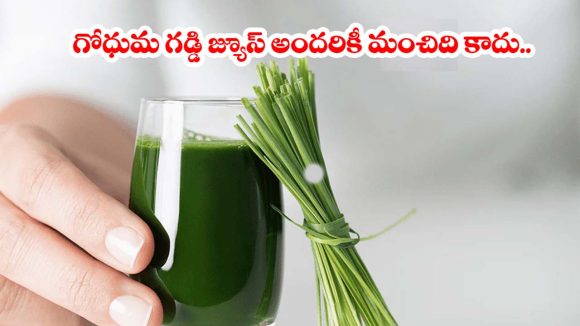గోధుమ గడ్డి జ్యూస్ తాగుతున్నారా? ఈ సైడ్ ఎఫెక్ట్స్ గురించి మీకు తెలుసా?