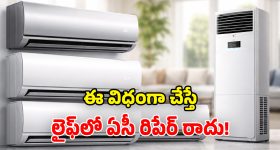2వేలకు పైగా పాటలు.. జాను ఒక్క పాట కోసం ఎంత రెమ్యూనరేషన్ తీసుకుంటుందో తెలుసా?