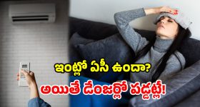 మల్కాజ్‌గిరిలో బీజేపీ ముసలం.. ప్రీతిరెడ్డికి చెక్ పెట్టిన బీజేపి అధిష్టానం..!