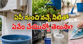 ప్రభాస్ వర్సెస్ సల్మాన్ బాక్సాఫీస్ వద్ద టఫ్ ఫైట్ గెలిచేదెవరు?