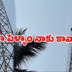 భార్య కావాల్సిందే.. లేదంటే దూకేస్తా! రేడియో టవర్ పై భర్త హైడ్రామా…వైరల్ వీడియో
