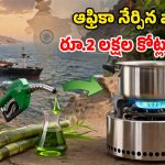ఆఫ్రికన్ నమూనాతో.. దేశంలో ఎల్‌పీజీ సమస్యకు చెక్.. ఇది ఎలా పనిచేస్తుందంటే?