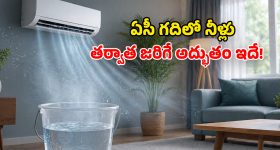 Air Conditioner Tips: అమ్మబాబోయ్.. ఏసీ గదిలో బకెట్ వాటర్ పెడితే.. ఇన్ని ప్రయోజనాలు ఉన్నాయా?