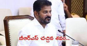 తెలంగాణ అసెంబ్లీ ఇక పార్లమెంట్ మోడల్.. సీఎం రేవంత్ రెడ్డి మాస్టర్ ప్లాన్