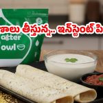 రెడీ మేడ్ దోశల పిండి.. తింటే మరణమే, కారణాలు ఇవే !
