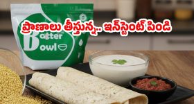 రెడీ మేడ్ దోశల పిండి.. తింటే మరణమే, కారణాలు ఇవే !