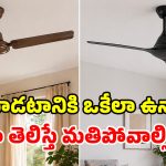 BLDC vs Normal Fans: రెండూ సీలింగ్ ఫ్యాన్లే.. కానీ టెక్నాలజీలో ఎంత తేడానో.. కచ్చితంగా తెలుసుకోవాల్సిందే!