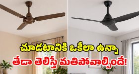 Todays Chanakya Exit Polls: చాణక్య సర్వే షాకింగ్ రిపోర్ట్..  ఎవరికి ఎన్ని సీట్లంటే.. వారికి షాక్ త‌ప్ప‌దా?