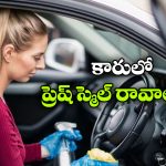 కారులో బ్యాడ్ స్మెల్ వస్తుందా? ఈ టిప్స్‌ తో ఫ్రెష్‌గా మార్చుకోండి!