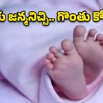 బెంగళూరులో దారుణం.. పసికందు గొంతు కోసిన 19 ఏళ్ల కన్నతల్లి!