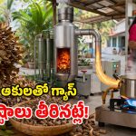 ఎండిన ఆకులతో వంట గ్యాస్.. సరైన సమయానికి.. అద్భుతమైన ఆవిష్కరణ భయ్యా!