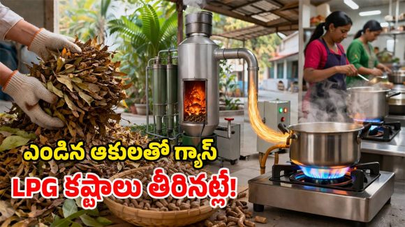 ఎండిన ఆకులతో వంట గ్యాస్.. సరైన సమయానికి.. అద్భుతమైన ఆవిష్కరణ భయ్యా!