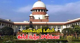 ఎన్నికల్లో బయో మెట్రిక్.. సుప్రీం కోర్టులో పిటిషన్​.. సీజేఐ బెంచ్ కీలక వ్యాఖ్యలు!