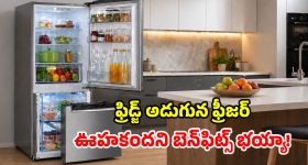 బాటమ్ మౌంటెడ్ ఫ్రిడ్జ్‌లు.. సాధారణ వాటితో పోలిస్తే.. వీటివల్ల ఎన్ని లాభాలో తెలుసా?