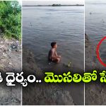 నదిలోకి దిగి మొసలి పళ్లు తోమిన బాలుడు.. నీ గుండెకు ఓ దండం రా అయ్యా!