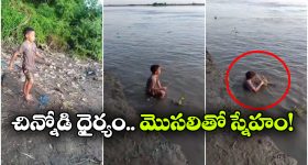 నదిలోకి దిగి మొసలి పళ్లు తోమిన బాలుడు.. నీ గుండెకు ఓ దండం రా అయ్యా!