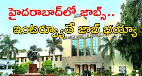 రూ.58వేల జీతంతో హైదరాబాద్‌లో ఉద్యోగాలు.. డిగ్రీ పాసైతే చాలు, అప్లై చేసుకోవచ్చు