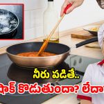 Induction Stove: ఇండక్షన్ స్టవ్‌పై నీరు చిందితే.. షాక్ కొడుతుందా? ఈ నిజాలు తెలుసుకోండి!