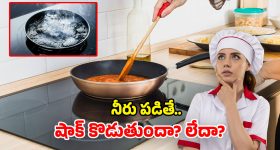 Induction Stove: ఇండక్షన్ స్టవ్‌పై నీరు చిందితే.. షాక్ కొడుతుందా? ఈ నిజాలు తెలుసుకోండి!