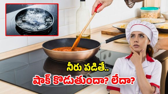 Induction Stove: ఇండక్షన్ స్టవ్‌పై నీరు చిందితే.. షాక్ కొడుతుందా? ఈ నిజాలు తెలుసుకోండి!