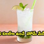 సమ్మర్ స్పెషల్.. ఈ 6 రిఫ్రెష్ డ్రింక్స్‌తో వేసవి తాపానికి గుడ్ బై చెప్పండి!