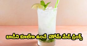 సమ్మర్ స్పెషల్.. ఈ 6 రిఫ్రెష్ డ్రింక్స్‌తో వేసవి తాపానికి గుడ్ బై చెప్పండి!